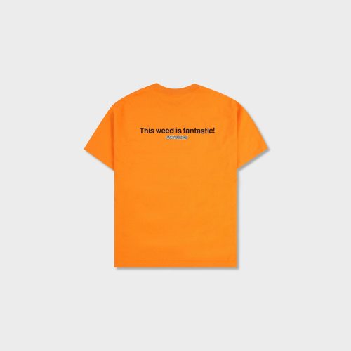 PleasuresHalfBakedCastT Shirt Orange 2