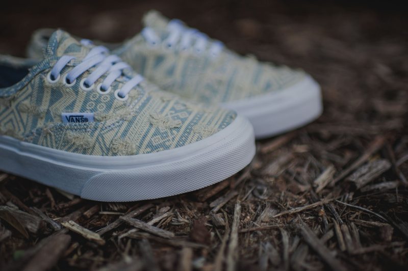 Vans AuthenticSlim FrydNatv TruWhite 2