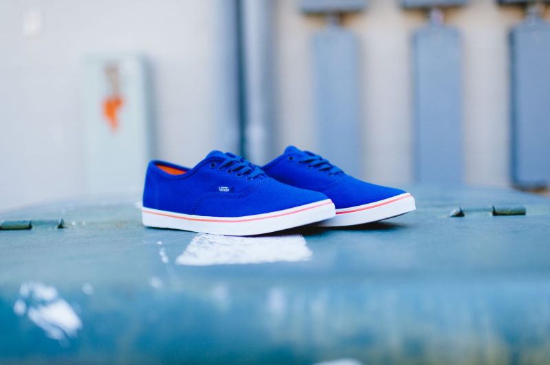 Vans Lo BLUEorange 1