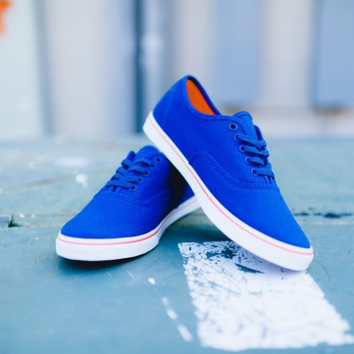 Vans Lo BLUEorange 11