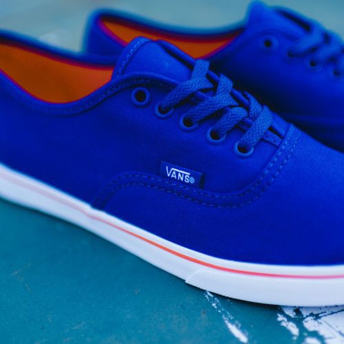 Vans Lo BLUEorange 3