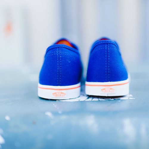 Vans Lo BLUEorange 9